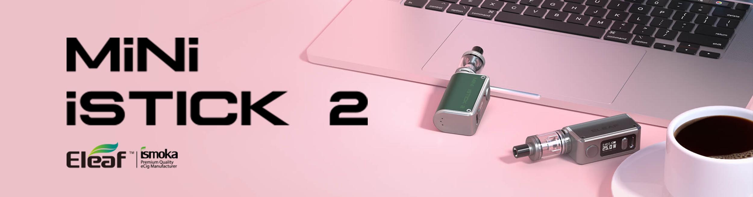 Mini iStick 2